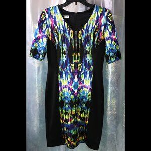 Maggy London Zip Up Multi Colored Short Sleeve Mid Length Dress - size 6